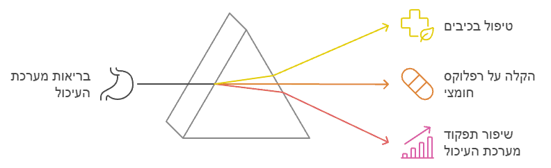 שיפור בריאות מערכת העיכול