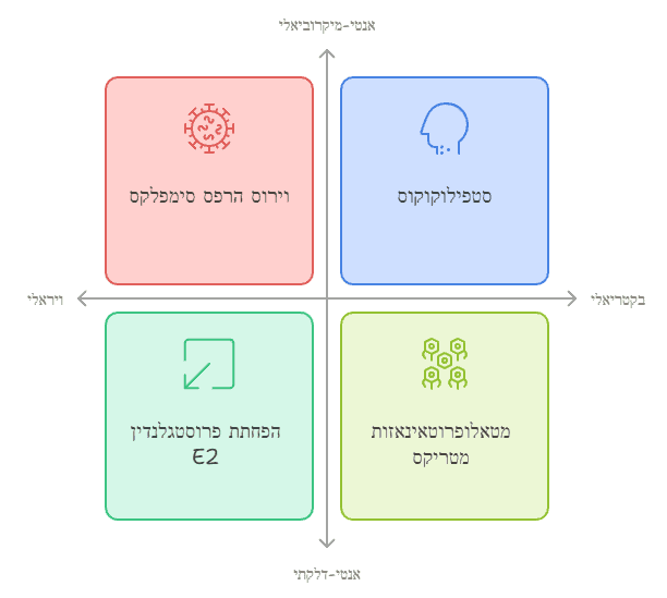 פעולות תרפויטיות של שורש הליקוריץ