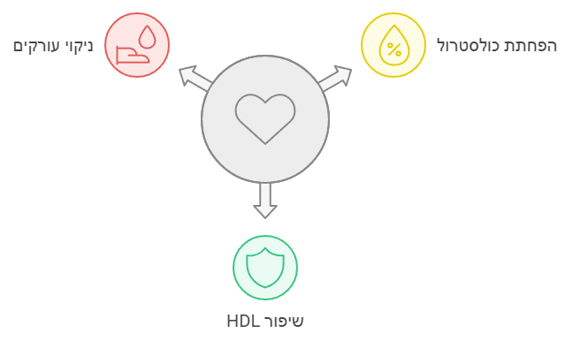 איך ליקוריץ מסייע בבריאות הלב?